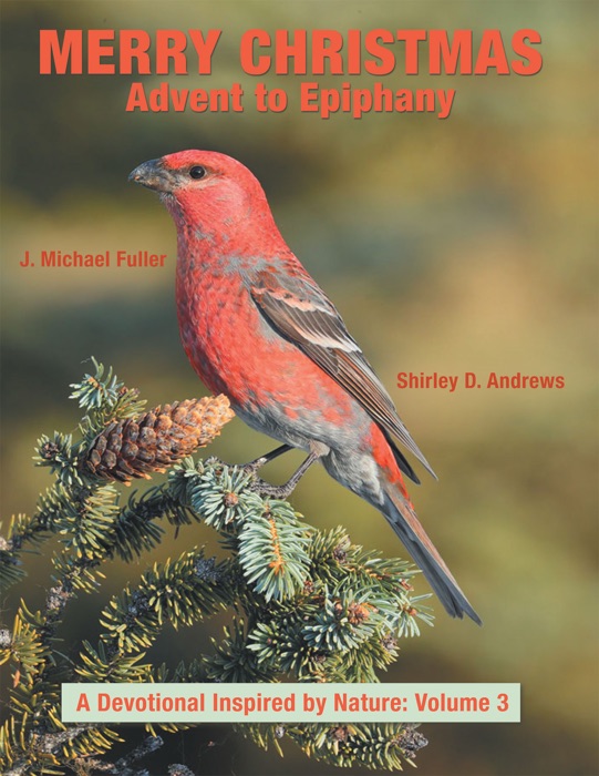 Merry Christmas  Advent to Epiphany