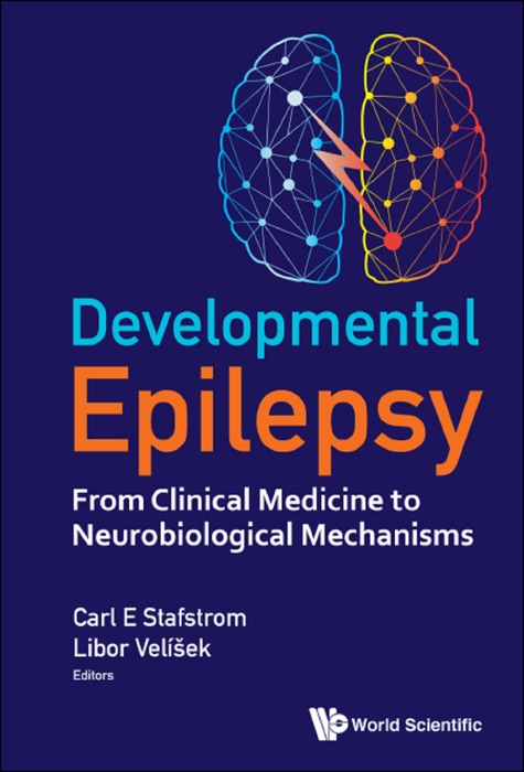 Developmental Epilepsy