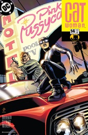 Catwoman (2001-2010) #14 - Ed Brubaker & Cameron Stewart by  Ed Brubaker & Cameron Stewart PDF Download