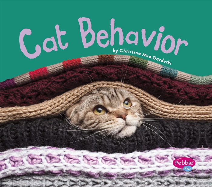 Cat Behavior