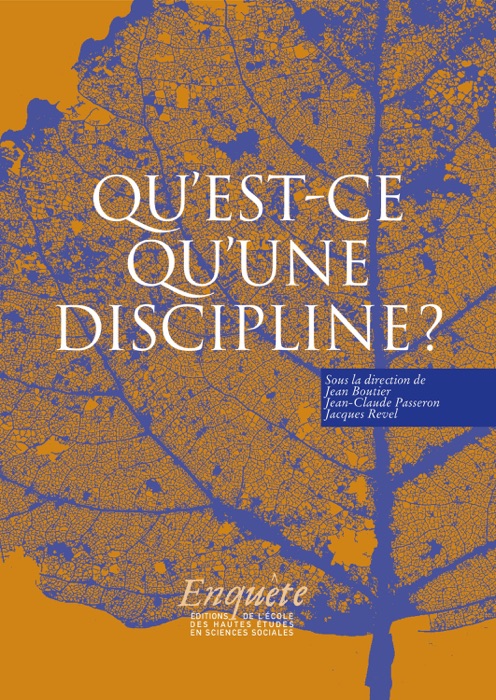 Qu’est-ce qu’une discipline ?