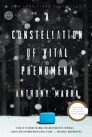 Anthony Marra - A Constellation of Vital Phenomena artwork