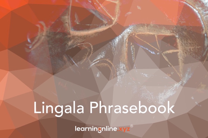 Lingala Light Phrasebook