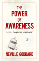 Neville Goddard - The Power of Awareness artwork