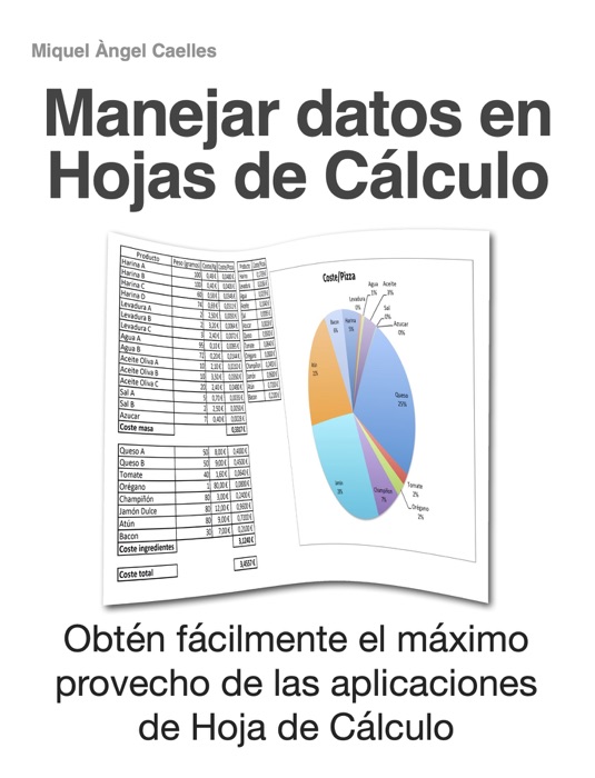 Manejar datos en Hojas de Cálculo