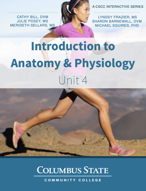 Read & Download Introduction to Anatomy and Physiology - Unit 4 Book by Cathy Bill, Julie Posey, Merideth Sellars, Lyndsy Frazier, Sharon Barnewall & Michael Squires Online