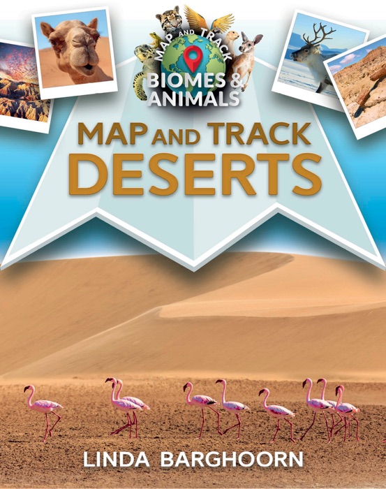 Map and Track Deserts