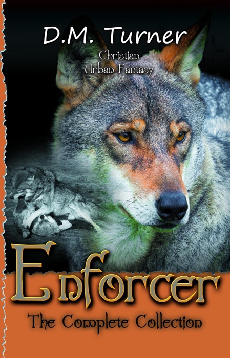 Enforcer: The Complete Collection