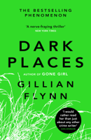 Gillian Flynn - Dark Places artwork