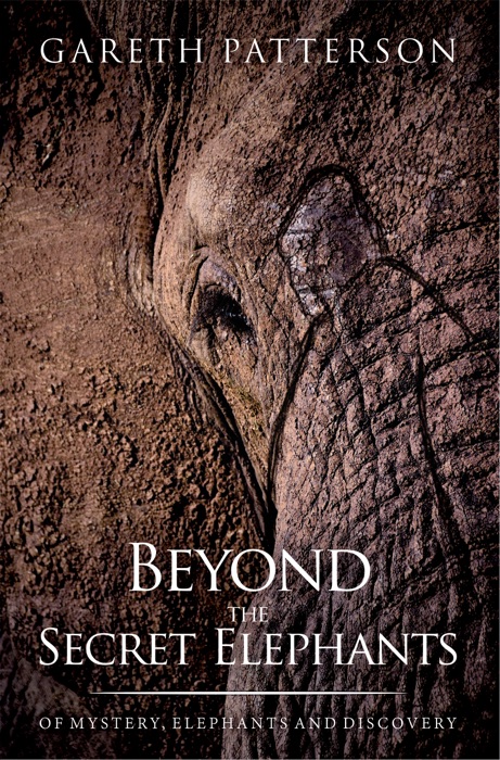 Beyond the Secret Elephants