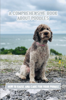 A Comprehensive Book About Poodles: How To Raise And Care For Your Poodle - Mayra Servellon
