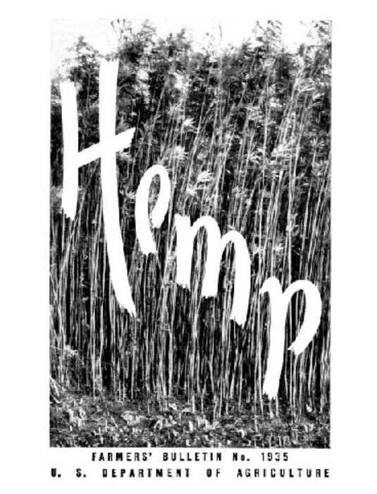 Hemp