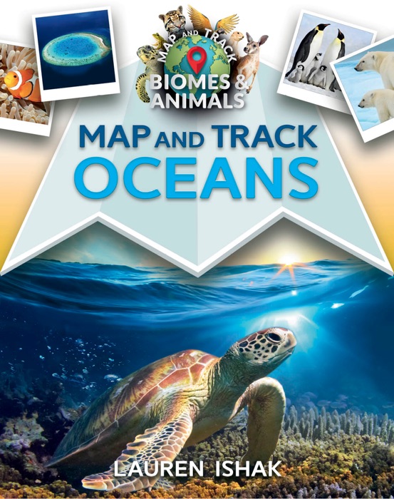 Map and Track Oceans