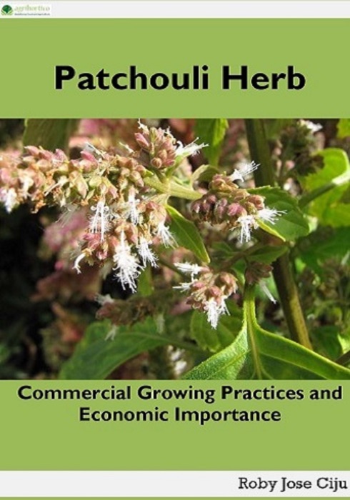 Patchouli Herb: Commercial Growing Practices and Economic Importance