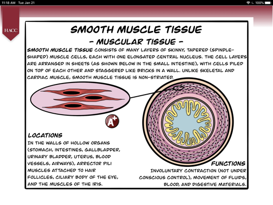 ‎The Histology Comic Book on Apple Books