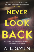 A.L. Gaylin - Never Look Back artwork