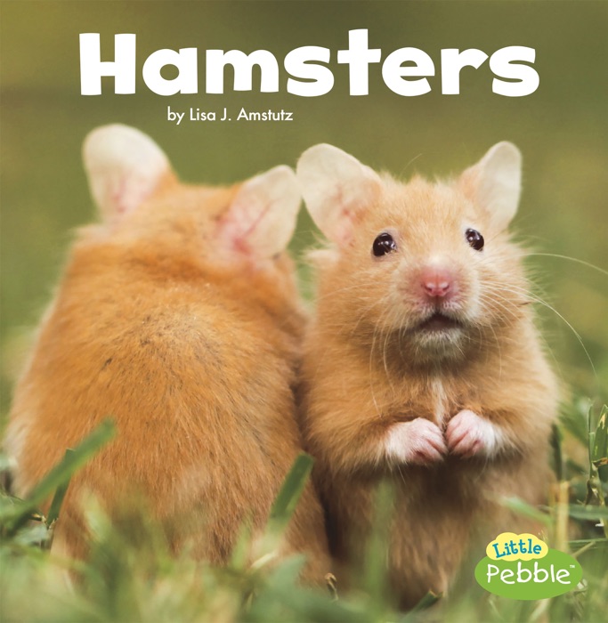 Hamsters