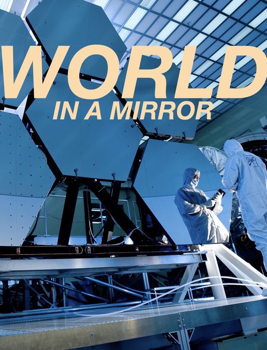 World in a Mirror