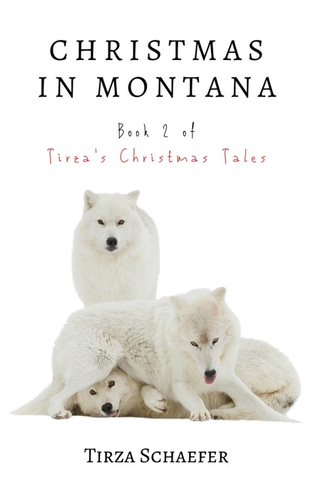 Christmas in Montana