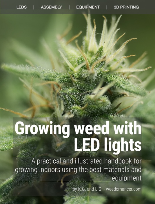 Growing weed with LED lights