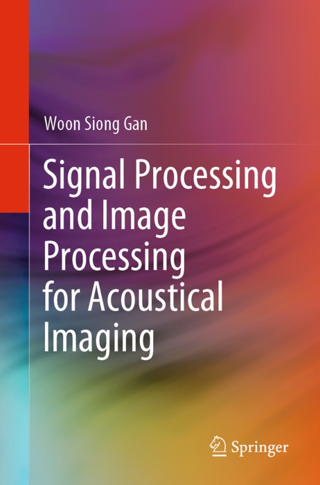 Signal Processing and Image Processing for Acoustical Imaging