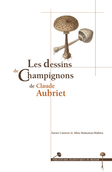 Les dessins de Champignons de Claude Aubriet