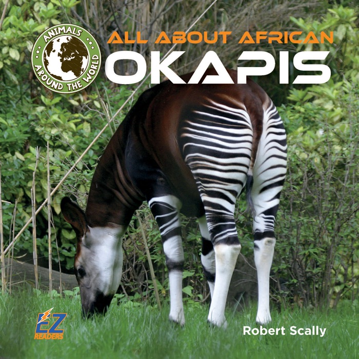 All About African Okapis