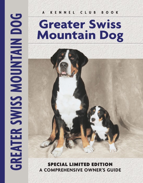 Greater Swiss Mountain Dog