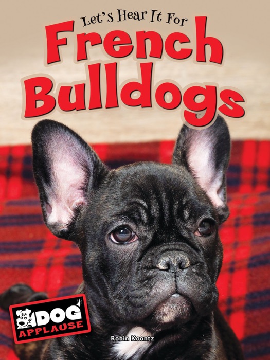 French Bulldogs