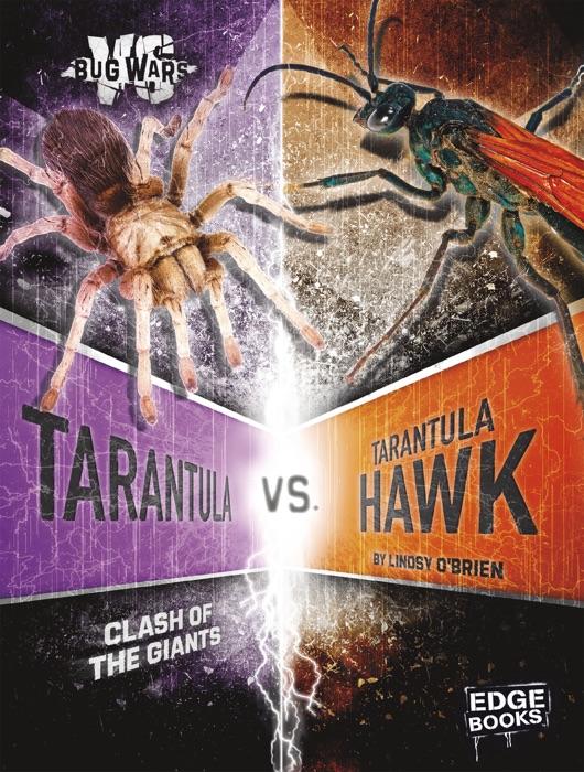 Tarantula vs. Tarantula Hawk