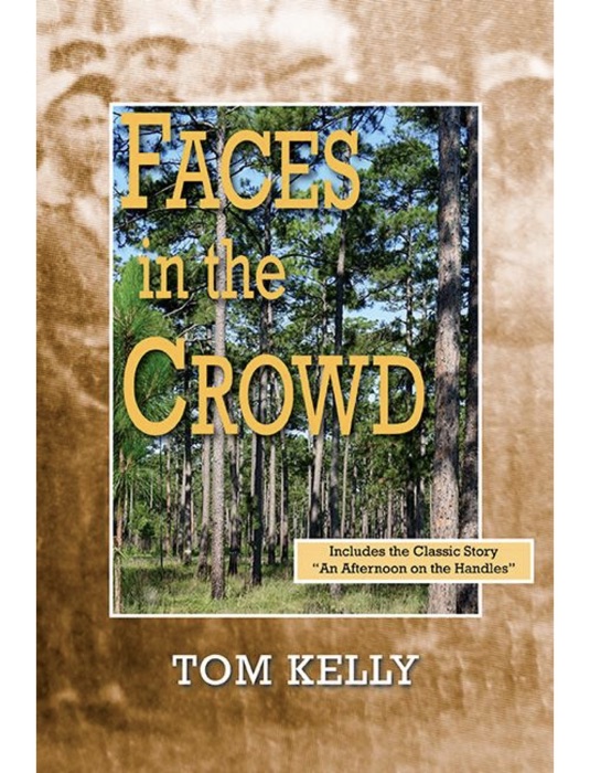 Faces in the Crowd