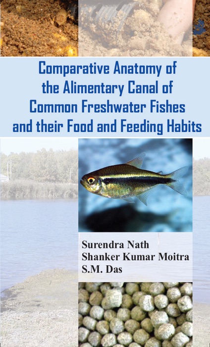 Comparative Anatomy Of The Alimentary Canal Of Common Freshwater Fishes And Their Food And Feeding Habits