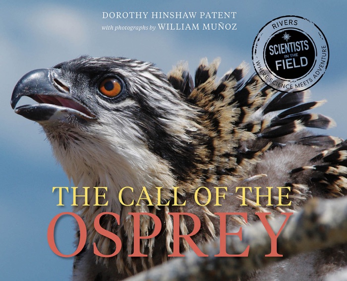 The Call of the Osprey