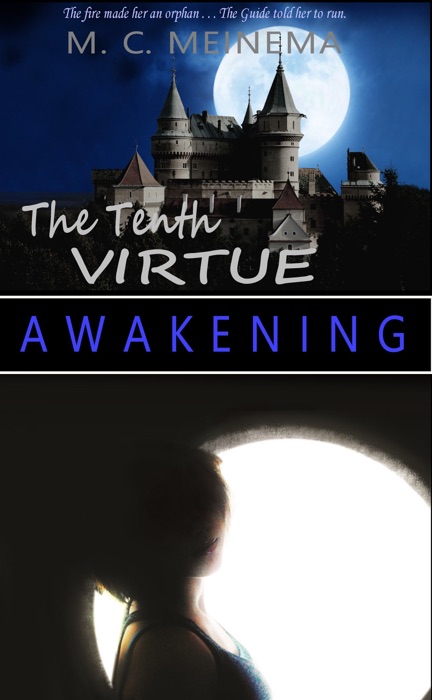 The Tenth Virtue: Awakening