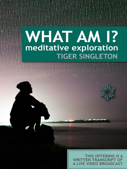 What Am I? Meditative Exploration