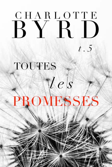 Toutes Les Promesses