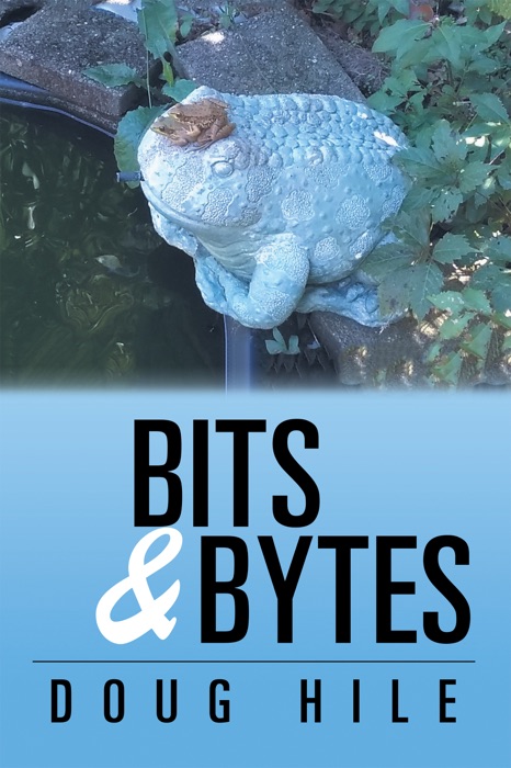 Bits & Bytes