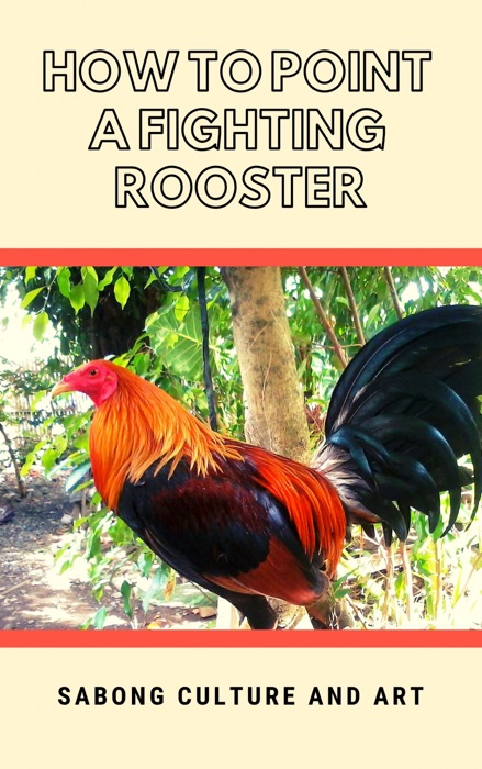 How to Point A Fighting Rooster