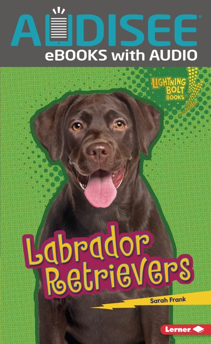 Labrador Retrievers (Enhanced Edition)