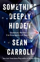 Sean Carroll - Something Deeply Hidden artwork