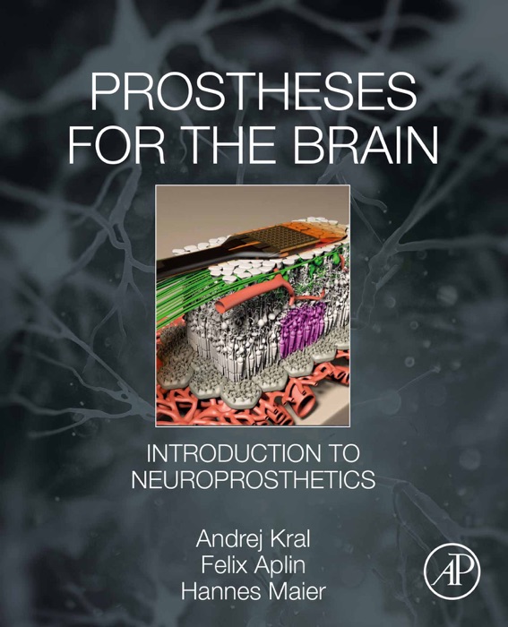 Prostheses for the Brain (Enhanced Edition)