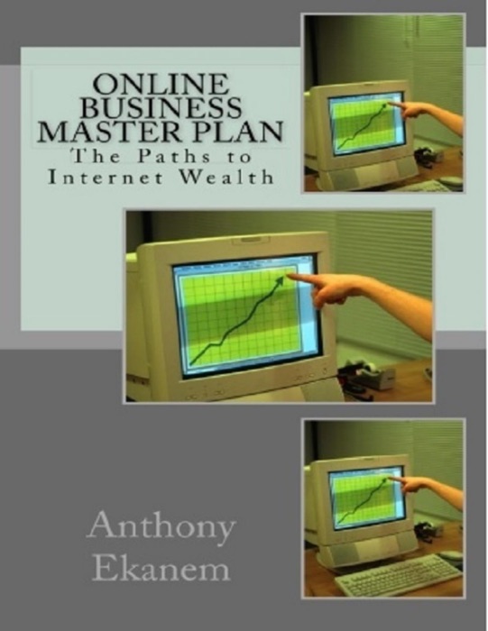 Online Business Master Plan: The Paths to Internet Wealth