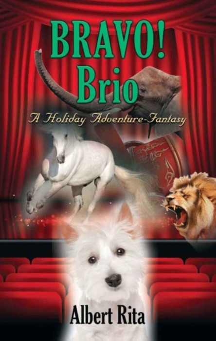 BRAVO! BRIO: A Holiday Adventure-Fantasy