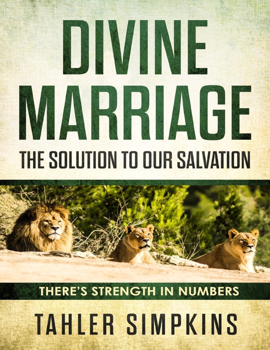 Divine Marriage: The Solution  to Our Salvation - There's Strenght In Numbers