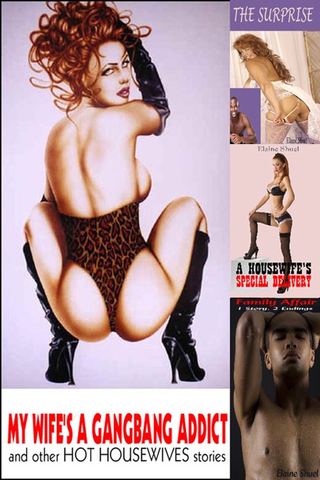 My Wife's a G******g Addict and Other Hot Housewives Stories
