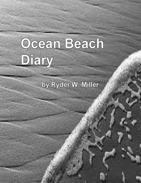 Ocean Beach Diary