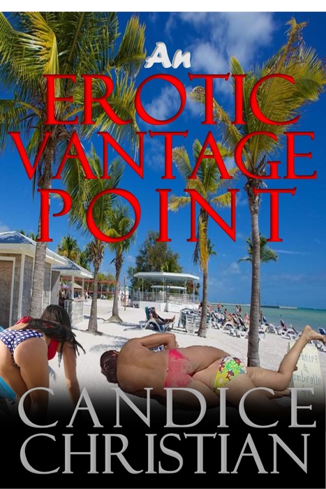 An Erotic Vantage Point