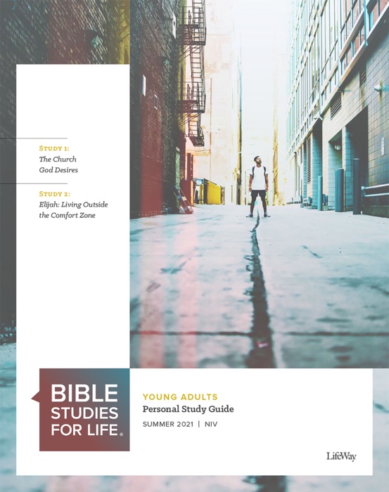 Bible Studies for Life: Young Adult Personal Study Guide - NIV - Summer 2021