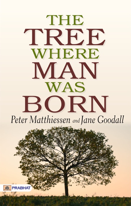 The Tree Where Man Was Born