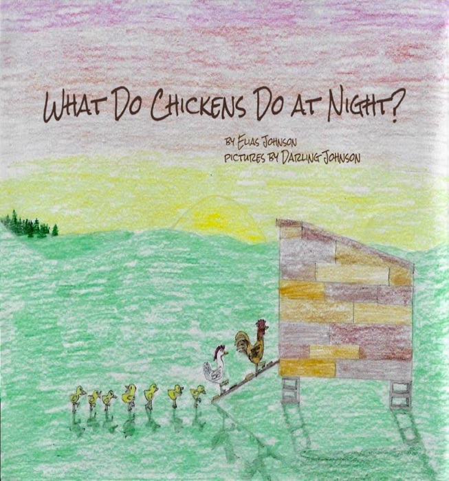 What Do Chickens Do at Night?